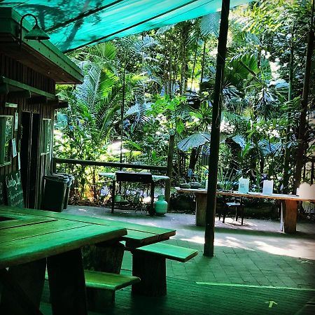 Daintree Crocodylus Villa Cow Bay Exterior photo