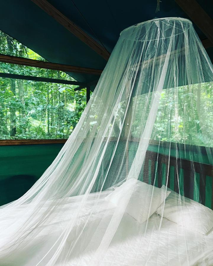Daintree Crocodylus Villa Cow Bay Exterior photo