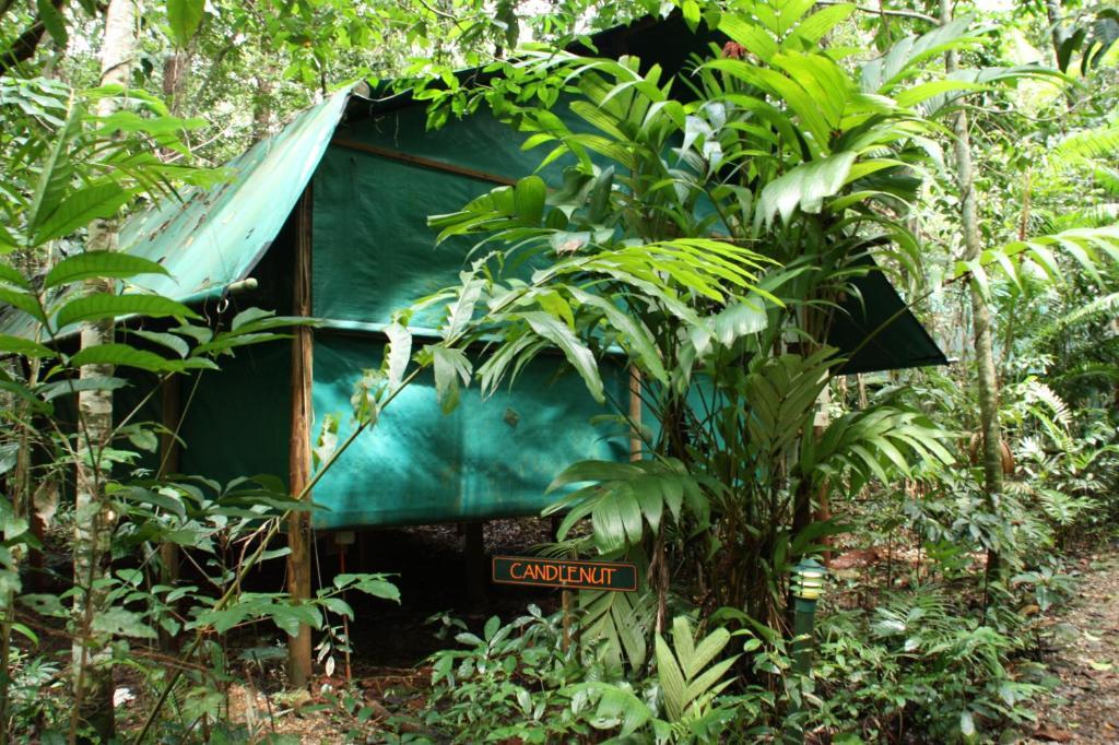 Daintree Crocodylus Villa Cow Bay Room photo