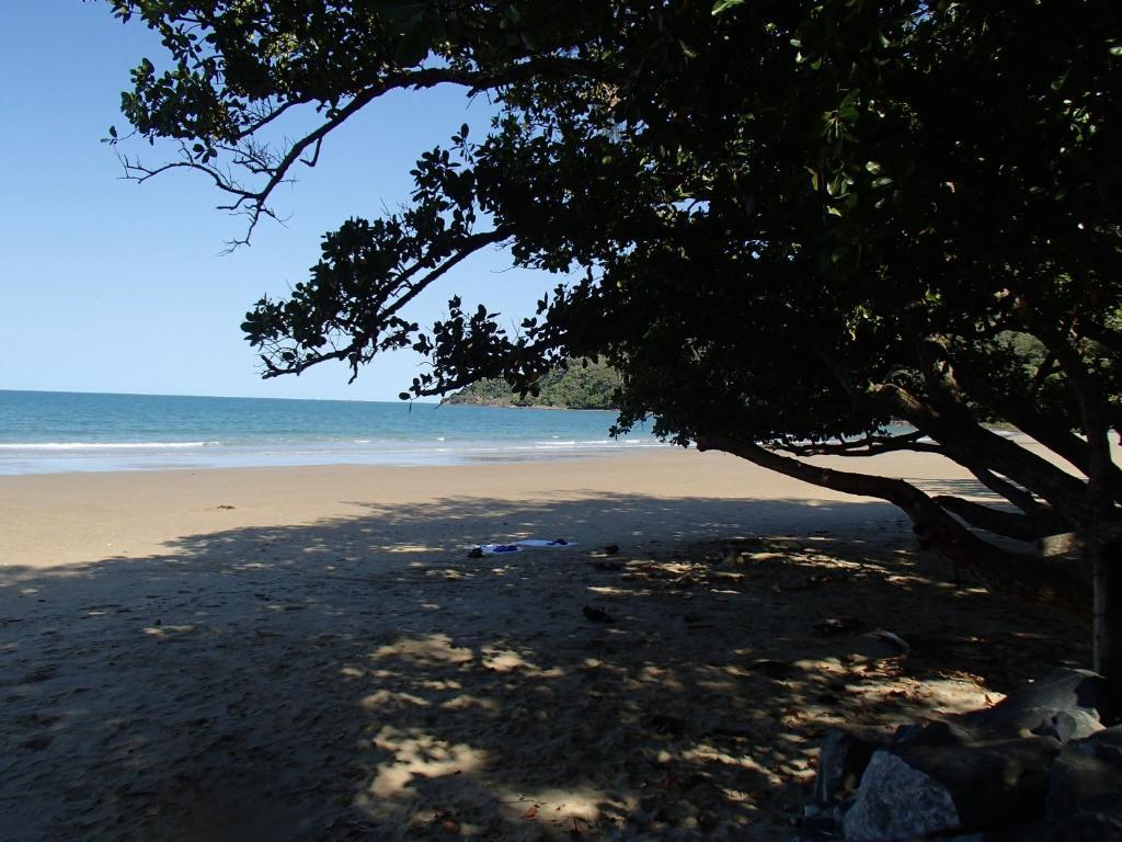 Daintree Crocodylus Villa Cow Bay Exterior photo
