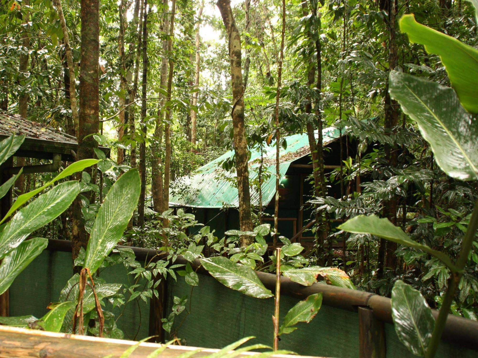 Daintree Crocodylus Villa Cow Bay Exterior photo