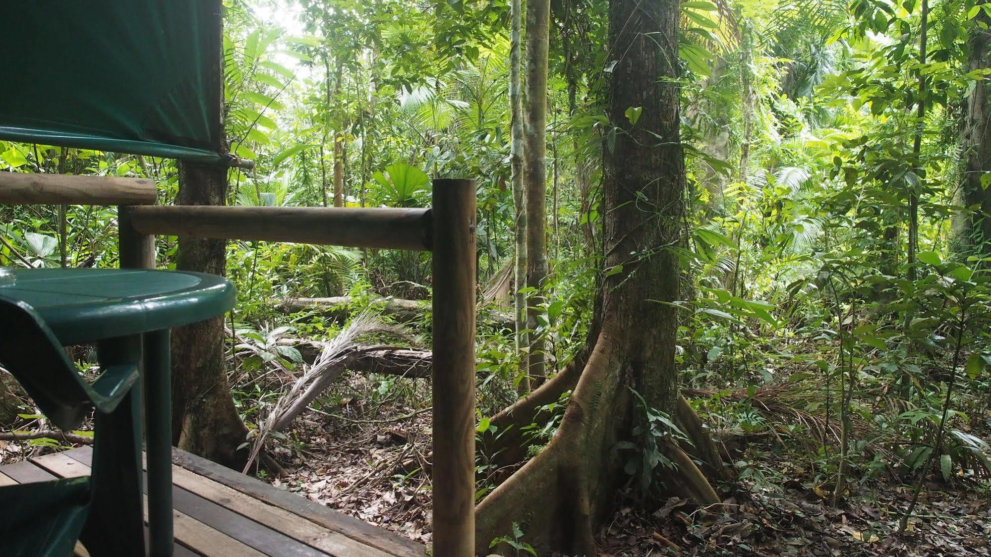 Daintree Crocodylus Villa Cow Bay Exterior photo