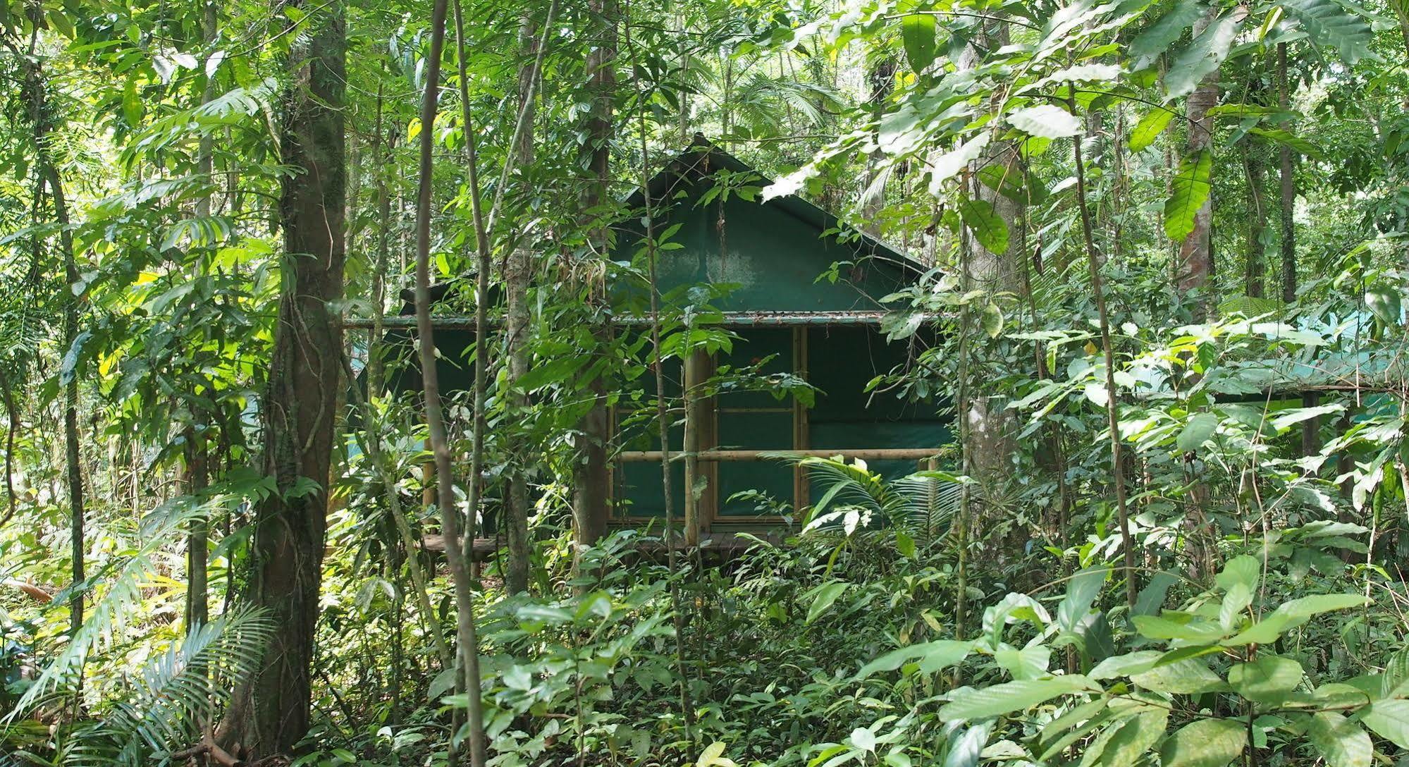 Daintree Crocodylus Villa Cow Bay Exterior photo