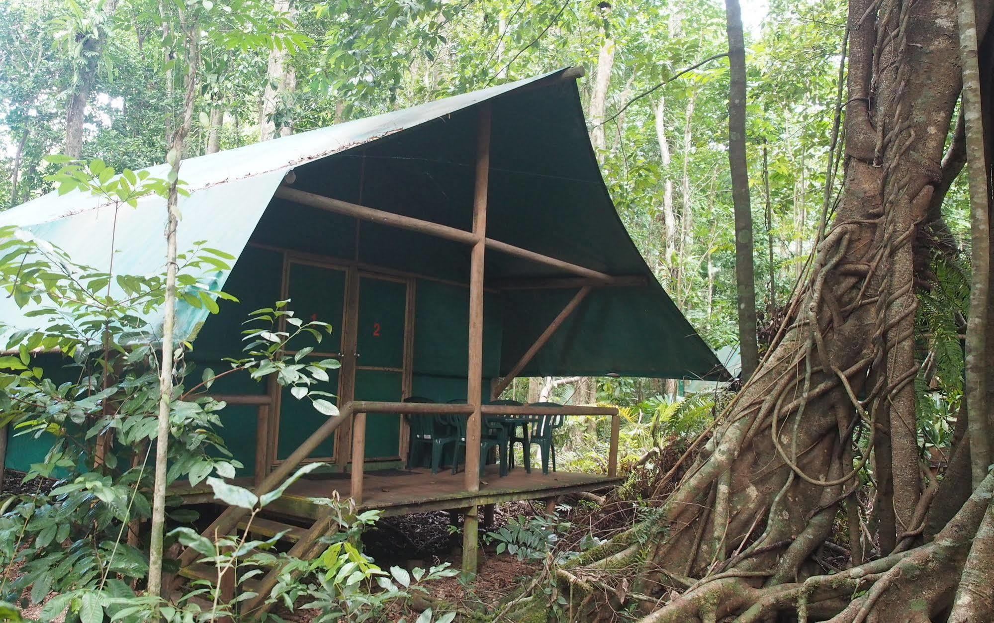 Daintree Crocodylus Villa Cow Bay Exterior photo