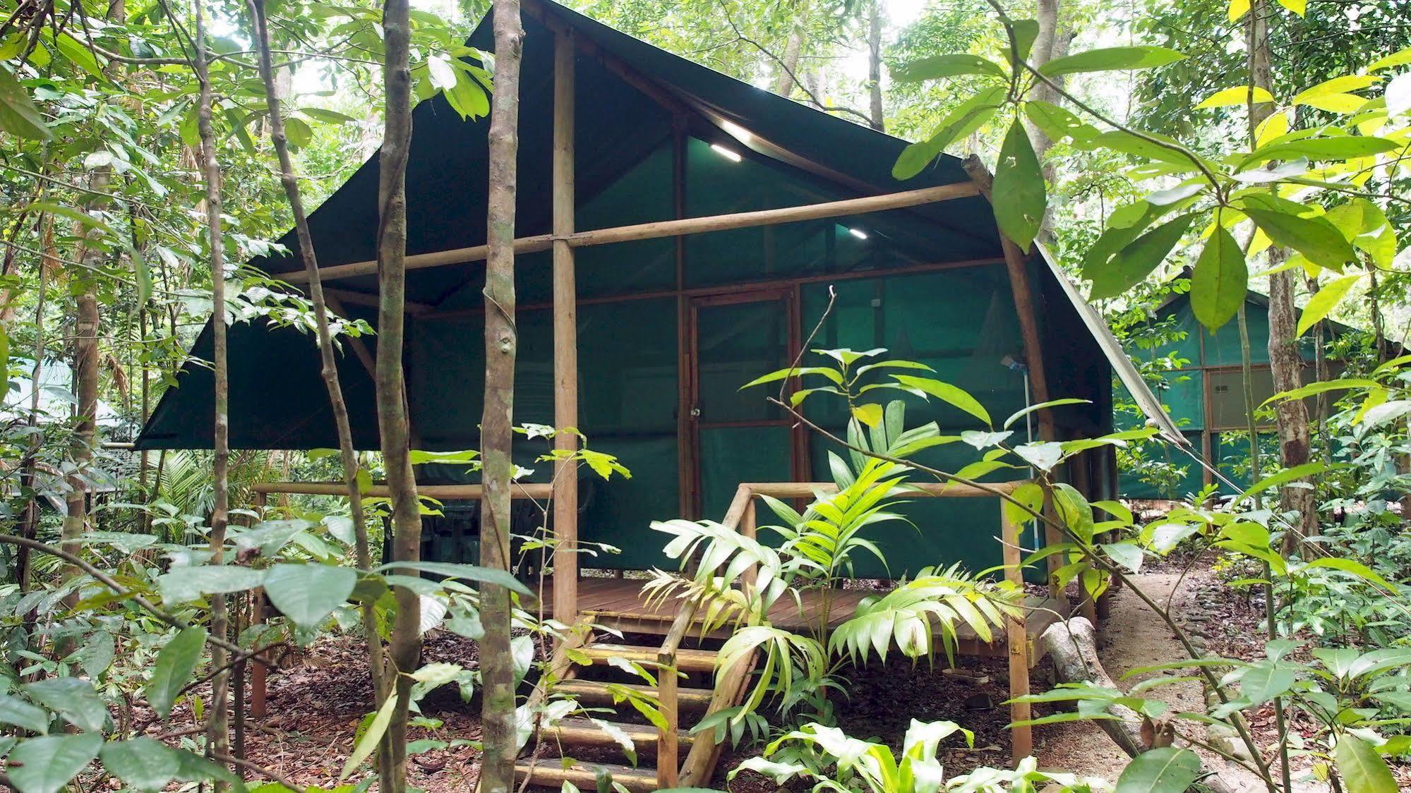 Daintree Crocodylus Villa Cow Bay Exterior photo