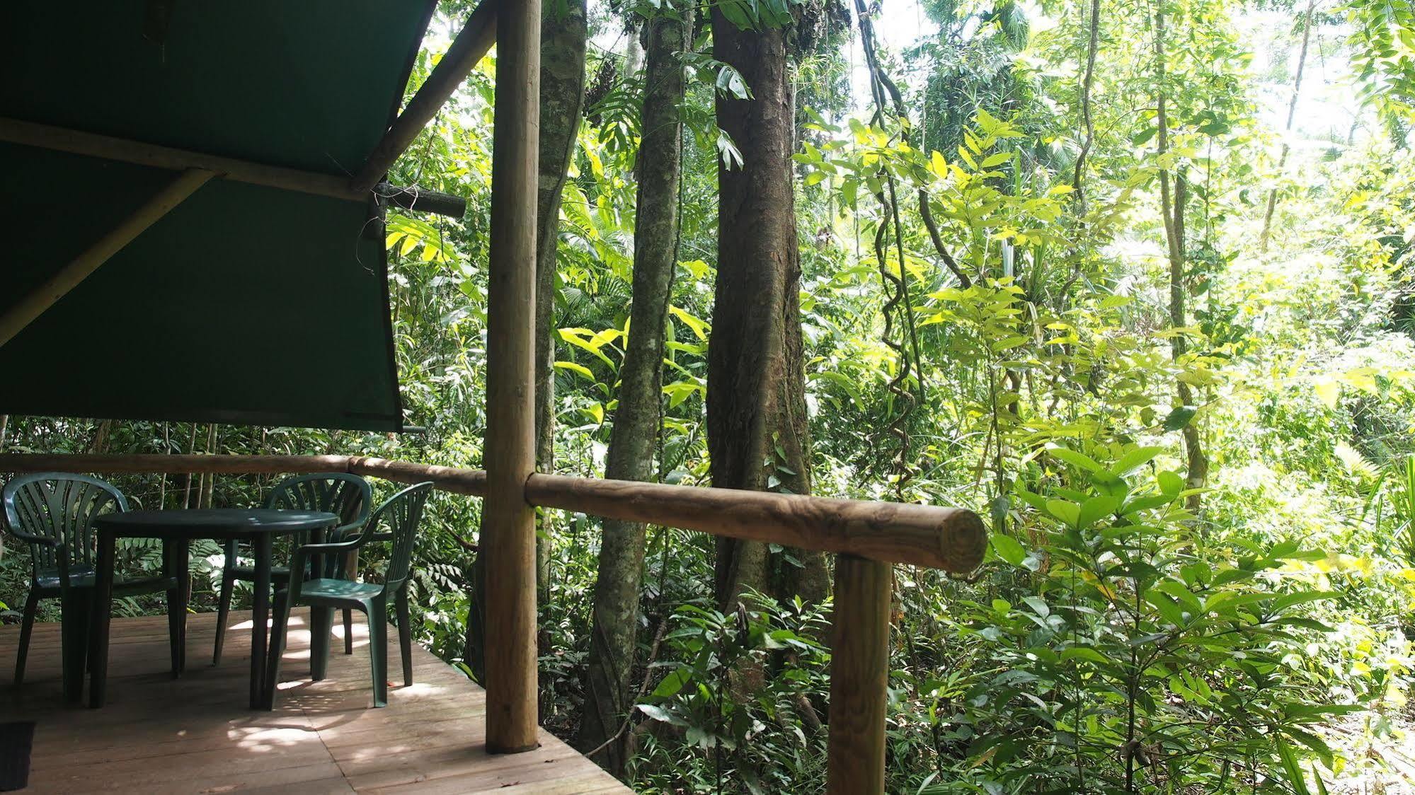 Daintree Crocodylus Villa Cow Bay Exterior photo