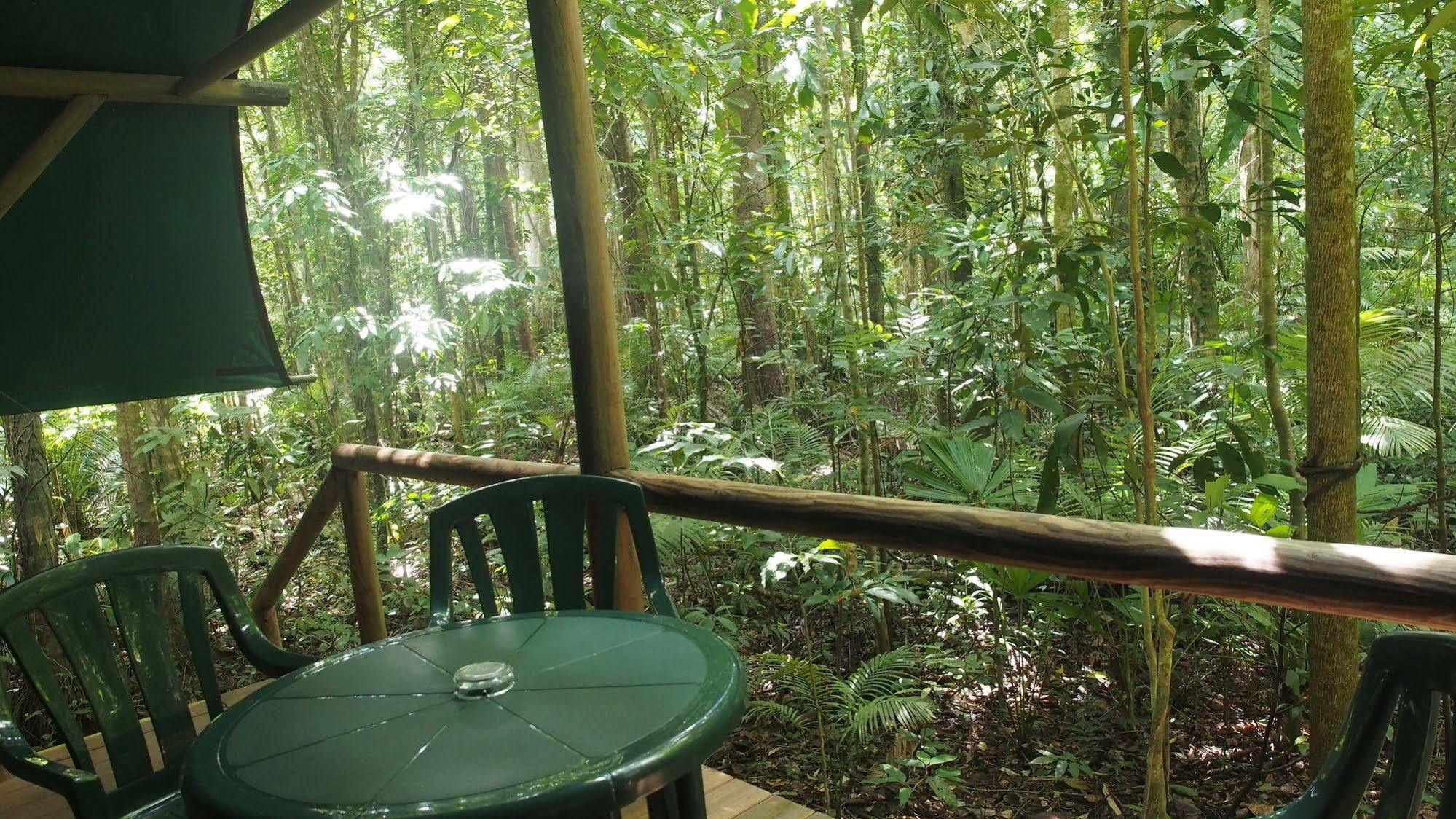 Daintree Crocodylus Villa Cow Bay Exterior photo