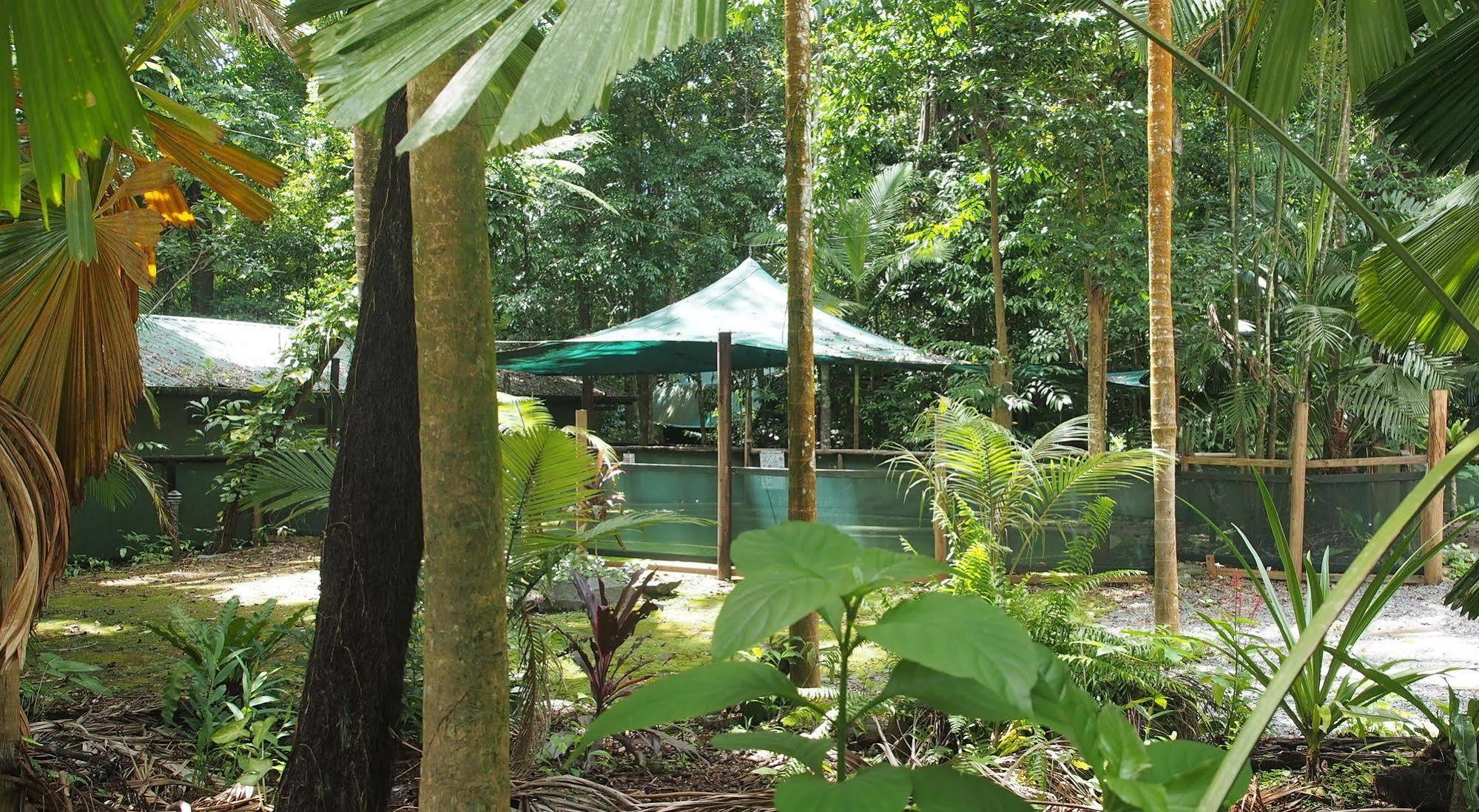 Daintree Crocodylus Villa Cow Bay Exterior photo