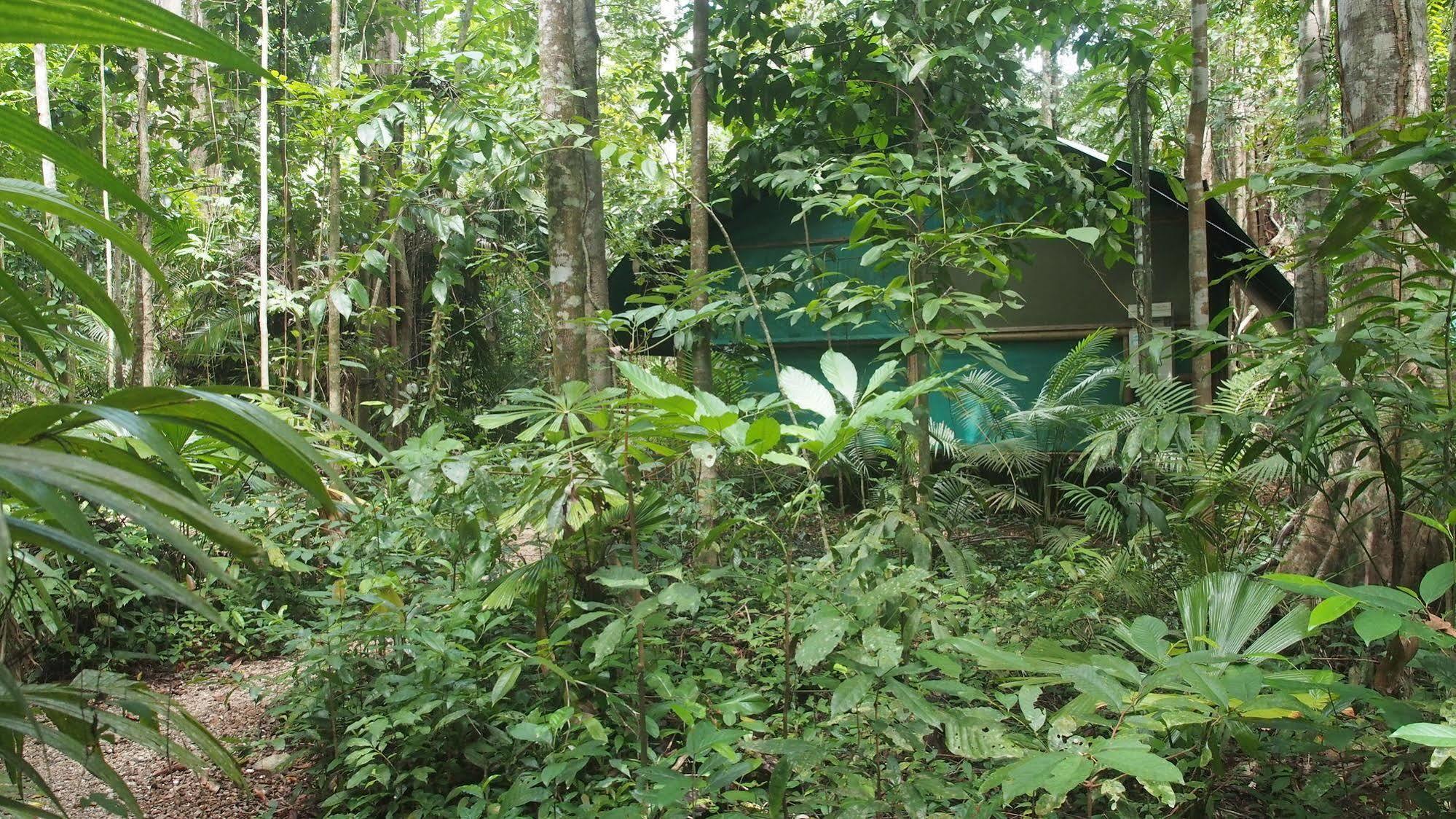 Daintree Crocodylus Villa Cow Bay Exterior photo