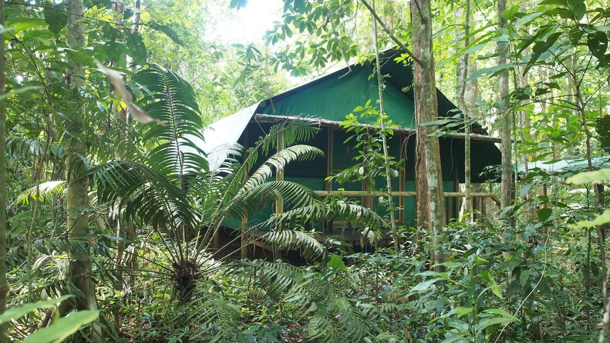 Daintree Crocodylus Villa Cow Bay Exterior photo
