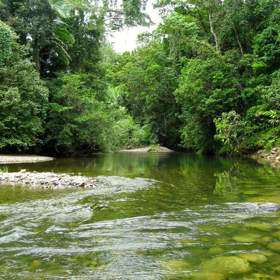 Daintree Crocodylus Villa Cow Bay Exterior photo
