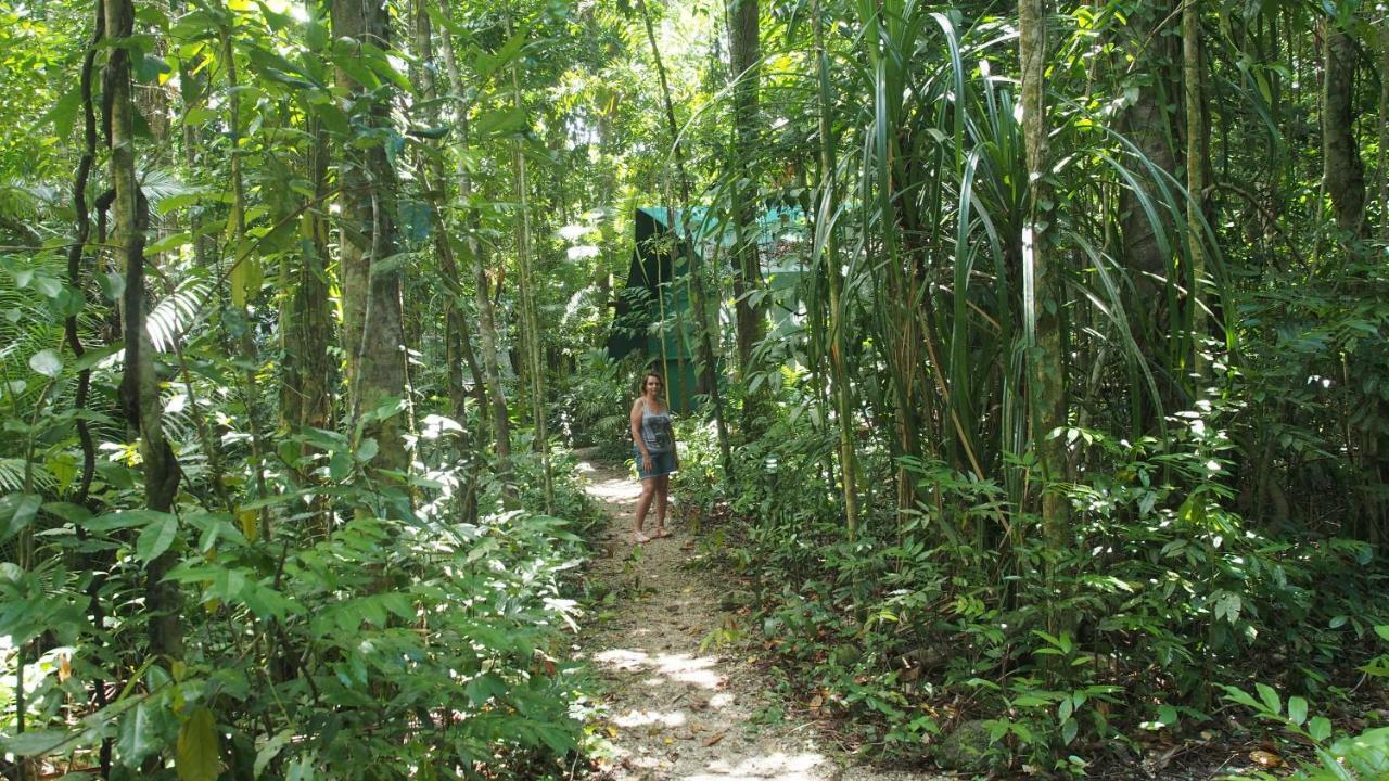 Daintree Crocodylus Villa Cow Bay Exterior photo