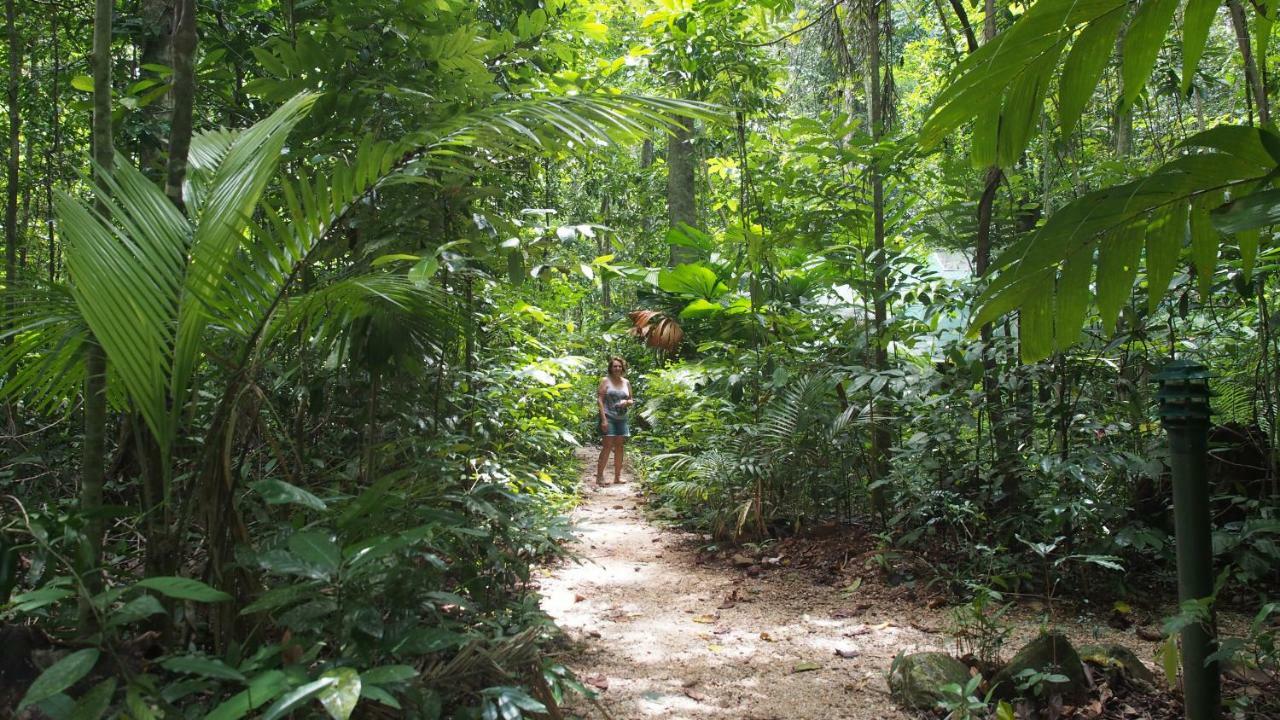 Daintree Crocodylus Villa Cow Bay Exterior photo
