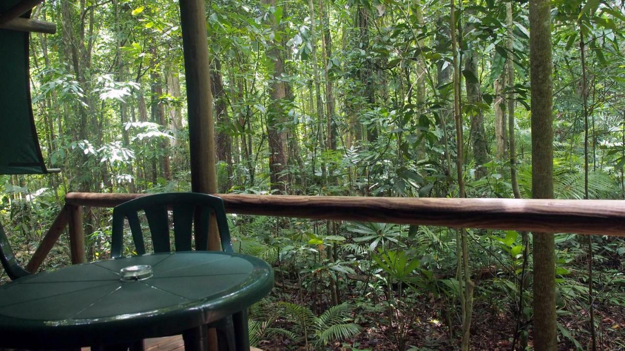 Daintree Crocodylus Villa Cow Bay Exterior photo